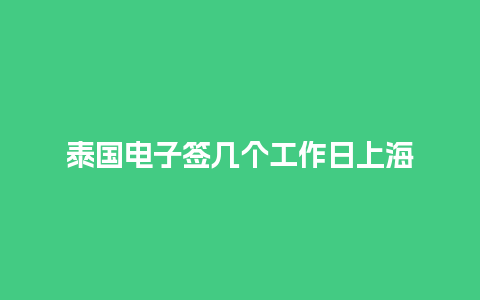 泰国电子签几个工作日上海