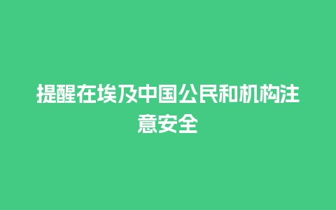 提醒在埃及中国公民和机构注意安全