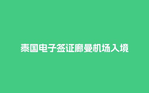 泰国电子签证廊曼机场入境