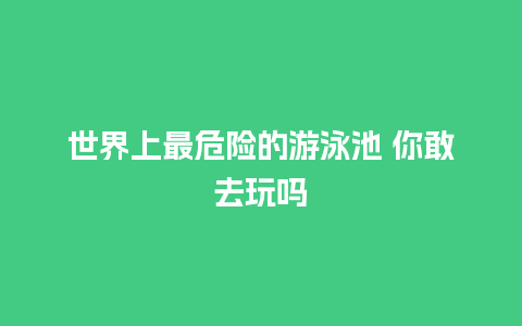 世界上最危险的游泳池 你敢去玩吗