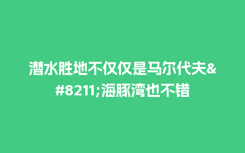 潜水胜地不仅仅是马尔代夫--海豚湾也不错