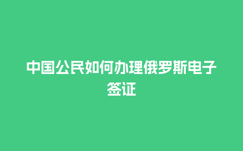 中国公民如何办理俄罗斯电子签证