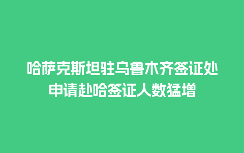 哈萨克斯坦驻乌鲁木齐签证处申请赴哈签证人数猛增