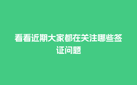 看看近期大家都在关注哪些签证问题