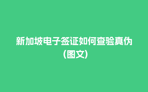 新加坡电子签证如何查验真伪 (图文)