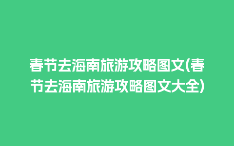 春节去海南旅游攻略图文(春节去海南旅游攻略图文大全)