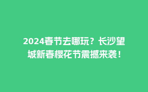 2024春节去哪玩？长沙望城新春樱花节震撼来袭！