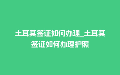 土耳其签证如何办理_土耳其签证如何办理护照