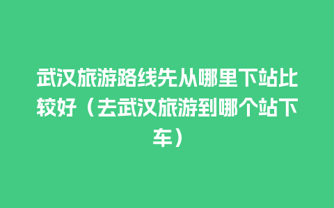 武汉旅游路线先从哪里下站比较好（去武汉旅游到哪个站下车）