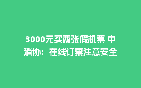 3000元买两张假机票 中消协：在线订票注意安全