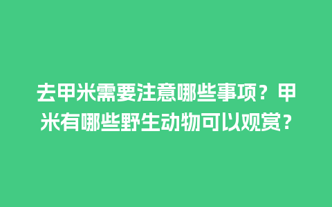 去甲米需要注意哪些事项？甲米有哪些野生动物可以观赏？