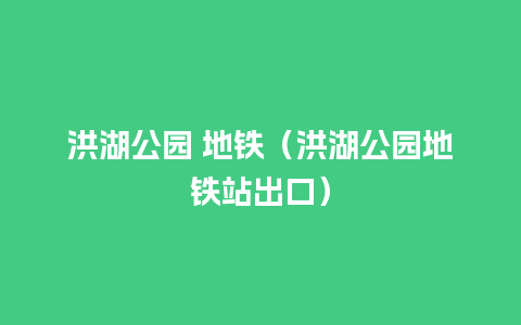 洪湖公园 地铁（洪湖公园地铁站出口）