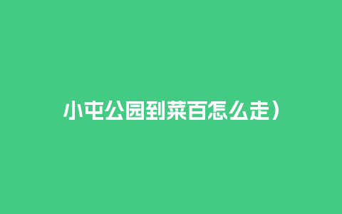 小屯公园到菜百怎么走）