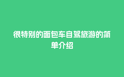 很特别的面包车自驾旅游的简单介绍