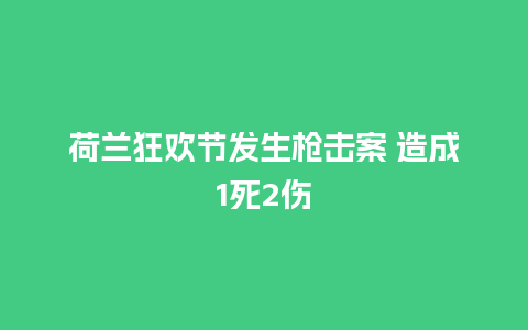 荷兰狂欢节发生枪击案 造成1死2伤