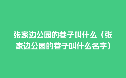 张家边公园的巷子叫什么（张家边公园的巷子叫什么名字）