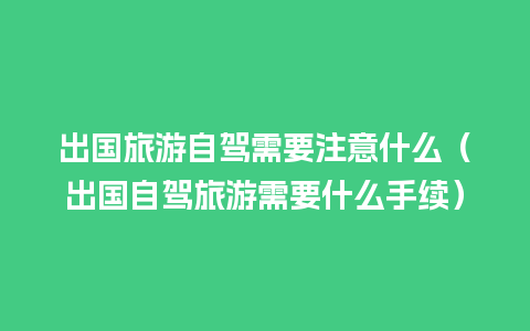 出国旅游自驾需要注意什么（出国自驾旅游需要什么手续）