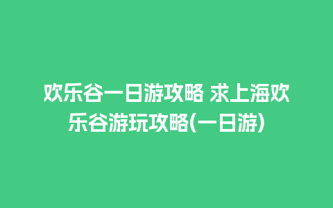 欢乐谷一日游攻略 求上海欢乐谷游玩攻略(一日游)