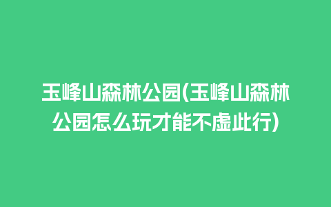 玉峰山森林公园(玉峰山森林公园怎么玩才能不虚此行)