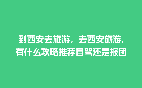 到西安去旅游，去西安旅游,有什么攻略推荐自驾还是报团