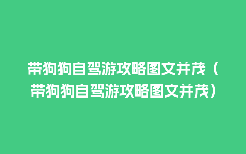 带狗狗自驾游攻略图文并茂（带狗狗自驾游攻略图文并茂）