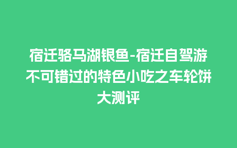 宿迁骆马湖银鱼-宿迁自驾游不可错过的特色小吃之车轮饼大测评