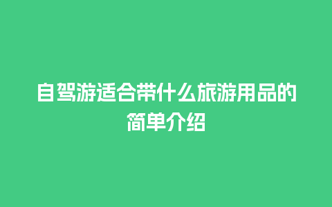 自驾游适合带什么旅游用品的简单介绍