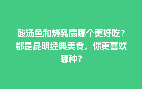 酸汤鱼和烤乳扇哪个更好吃？都是昆明经典美食，你更喜欢哪种？