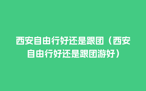 西安自由行好还是跟团（西安自由行好还是跟团游好）