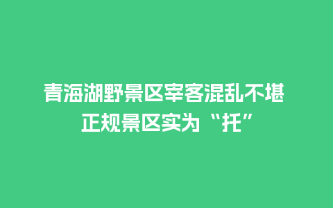 青海湖野景区宰客混乱不堪 正规景区实为“托”