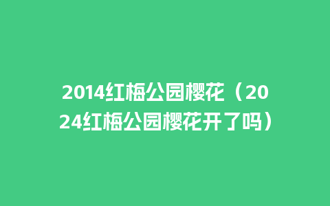 2014红梅公园樱花（2024红梅公园樱花开了吗）