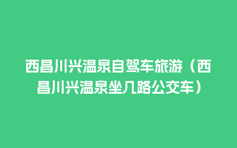 西昌川兴温泉自驾车旅游（西昌川兴温泉坐几路公交车）