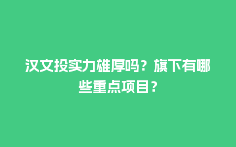 汉文投实力雄厚吗？旗下有哪些重点项目？