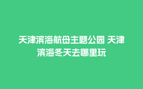 天津滨海航母主题公园 天津滨海冬天去哪里玩