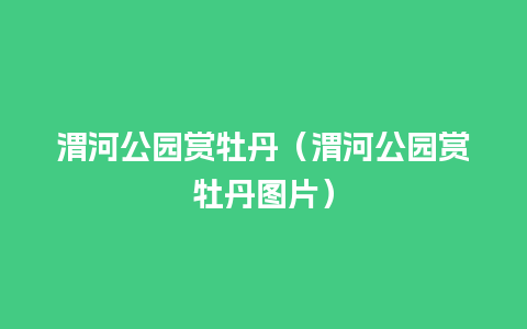 渭河公园赏牡丹（渭河公园赏牡丹图片）