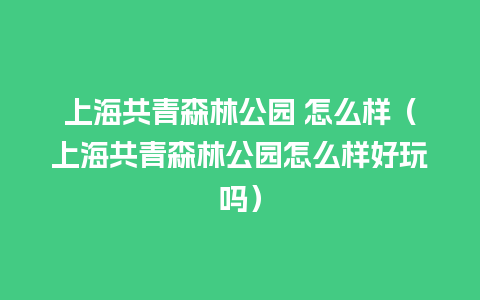 上海共青森林公园 怎么样（上海共青森林公园怎么样好玩吗）