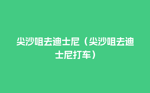 尖沙咀去迪士尼（尖沙咀去迪士尼打车）