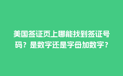 美国签证页上哪能找到签证号码？是数字还是字母加数字？