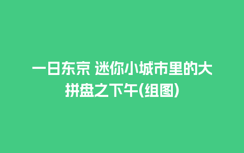 一日东京 迷你小城市里的大拼盘之下午(组图)