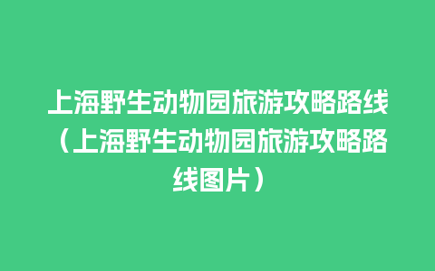 上海野生动物园旅游攻略路线（上海野生动物园旅游攻略路线图片）