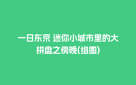 一日东京 迷你小城市里的大拼盘之傍晚(组图)