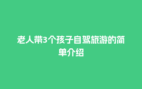 老人带3个孩子自驾旅游的简单介绍