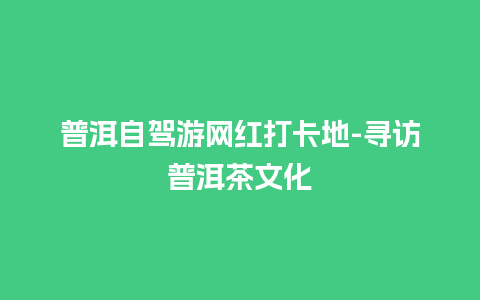 普洱自驾游网红打卡地-寻访普洱茶文化