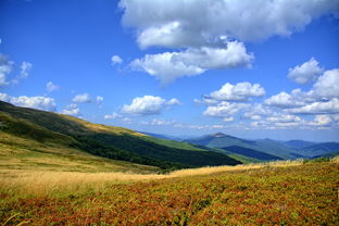 探索三清山，自然美景与心灵之旅的完美融合