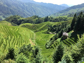 游遍桂林之美，旅行社报团旅游的魅力之旅