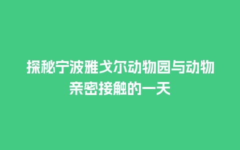 探秘宁波雅戈尔动物园与动物亲密接触的一天