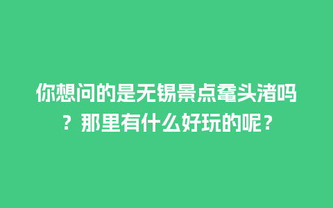 你想问的是无锡景点鼋头渚吗？那里有什么好玩的呢？