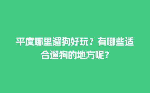 平度哪里遛狗好玩？有哪些适合遛狗的地方呢？