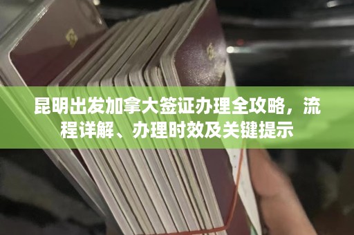 昆明出发加拿大签证办理全攻略，流程详解、办理时效及关键提示