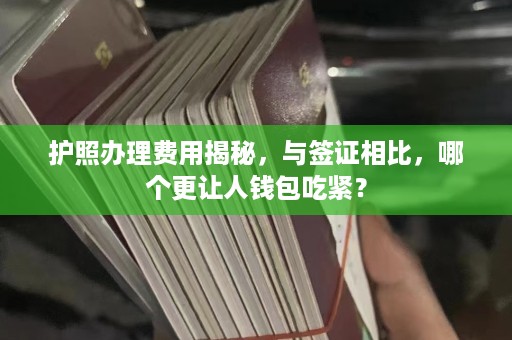 护照办理费用揭秘，与签证相比，哪个更让人钱包吃紧？